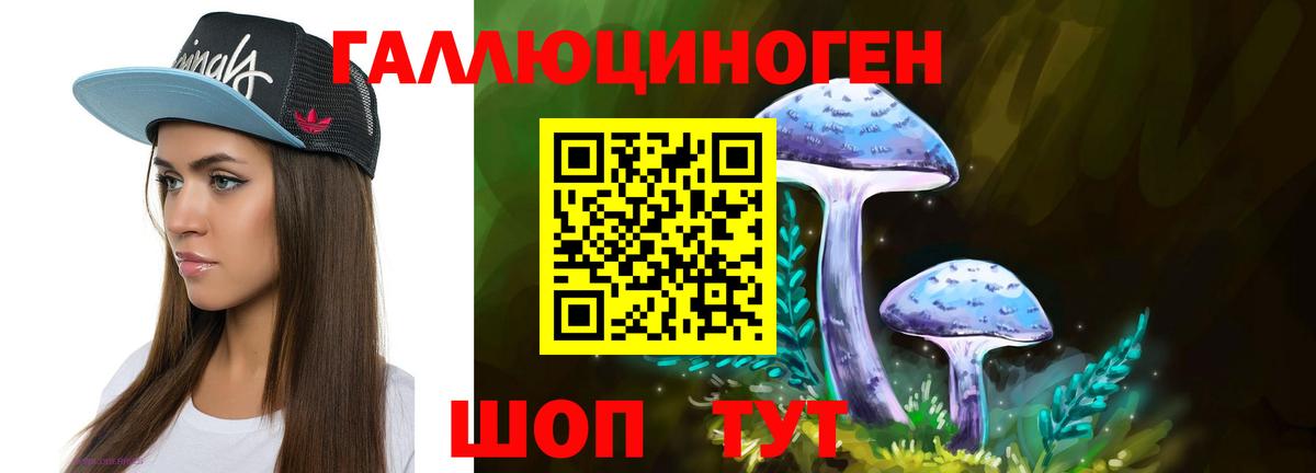 Псилоцибиновые грибы MAGIC MUSHROOMS Великий Устюг